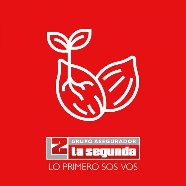 Seguro Cultivos de Verano