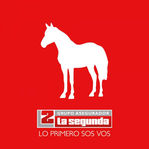 Seguro de Vida Equino
